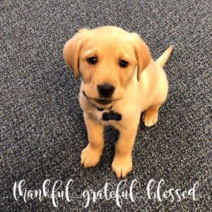 Meet your Posher, Heidee